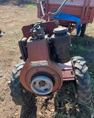 Motore agricolo Lombardini LDA 450 con carrello