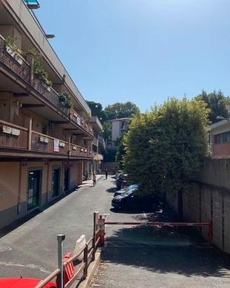 Box Frascati