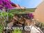Immagine 25