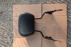 Sissy bar