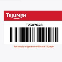 Decalco Sx Triumph Daytona 675 T2307648
