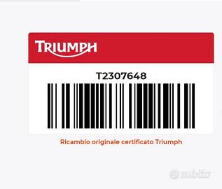 Decalco Sx Triumph Daytona 675 T2307648