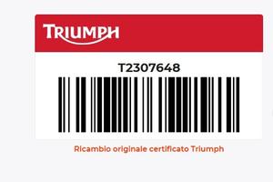 Decalco Sx Triumph Daytona 675 T2307648