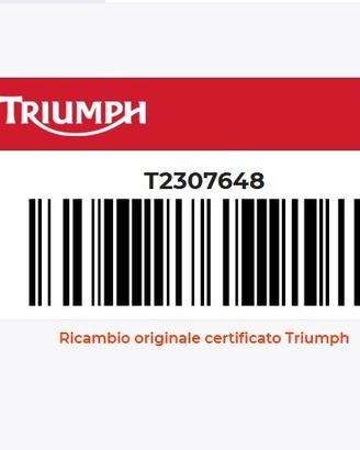 Decalco Sx Triumph Daytona 675 T2307648