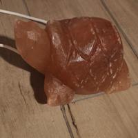 Lampada tartaruga