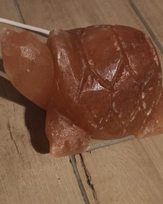Lampada tartaruga