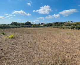 Terreno agricolo a Lanuvio