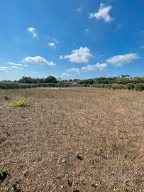 Terreno agricolo a Lanuvio