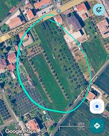 Terreno edificabile con PRG approvato