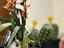 Immagine 14
