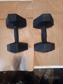 Manubri da 15 kg