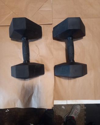 Manubri da 15 kg