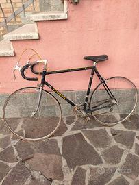 Bicicletta Luciano Reggio Emilia 