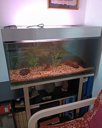Acquario