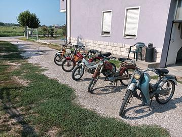 motorini 