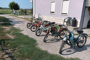 motorini 