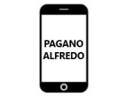 PAGANO ALFREDO logo