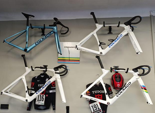 CICLI AMBROSINI S.N.C. DI AMBROSINI MASSIMILIANO - Castrolibero | Subito