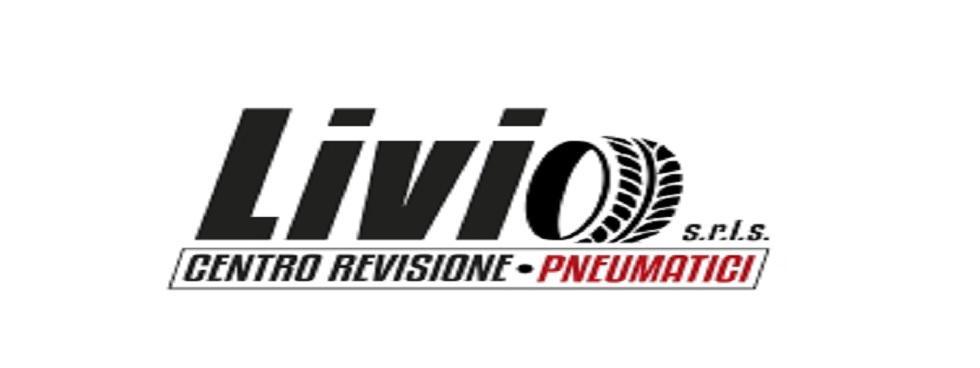 LIVIO S.R.L. SEMPLIFICATA