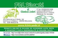 FCL  RICAMBI di  Gianluca Lodari