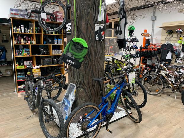 TECNOBIKE S.R.L. - Anguillara Sabazia | Subito