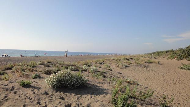 IMMOBILIARE CASA&MARE DI GANI CLAUDIO & C. SAS - Castagneto Carducci | Subito