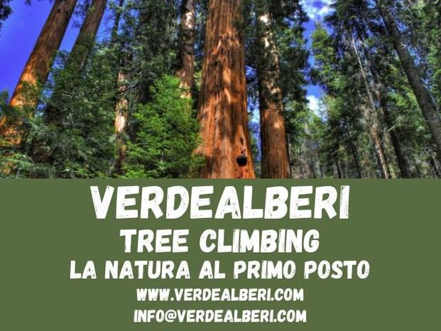 VerdeAlberi - Perugia | Subito