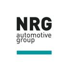 Nrg Srl - Automotive Group logo