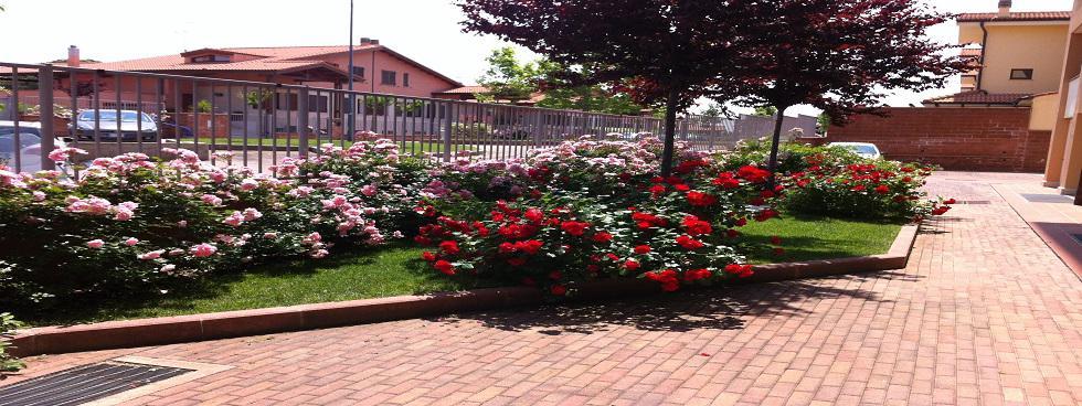Geosardinia Immobiliare