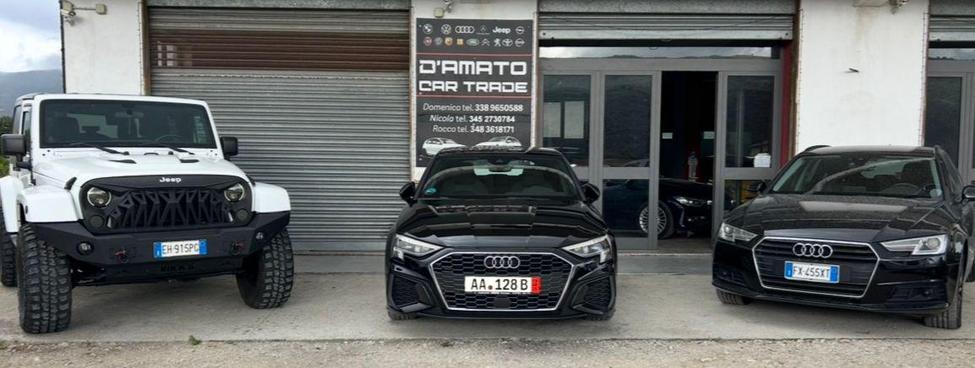 D'AMATO CAR TRADE SRLS