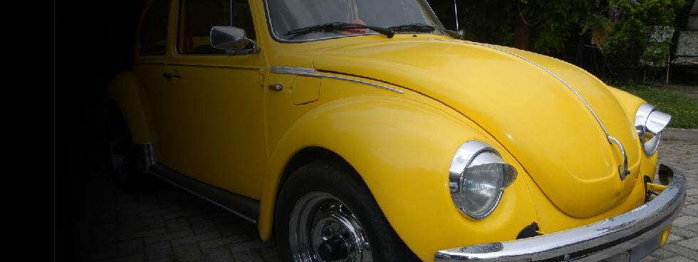 AGENZIA AGUGGINI S.A.S.