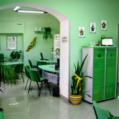 TECNOCASA - SUESSOLA FRANCHISING D.I. - Santa Maria a Vico | Subito