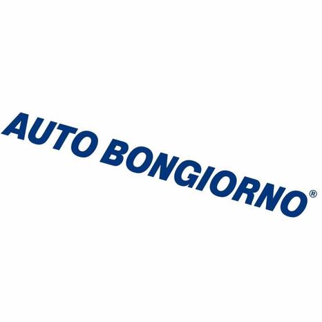 AUTO BONGIORNO ® RIBERA AG - Ribera - GGV AUTOMOTIVE SRL  di AUTO BONGIORNO® - Subito