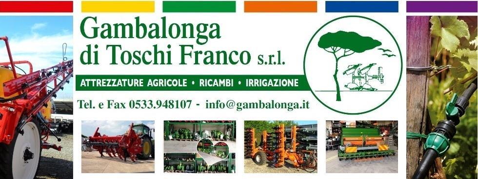 GAMBALONGA DI TOSCHI FRANCO SRL