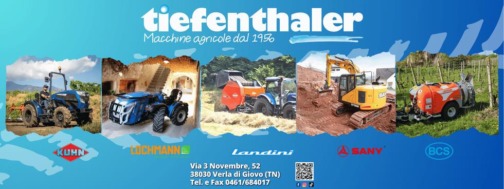 F.lli Tiefenthaler SRL