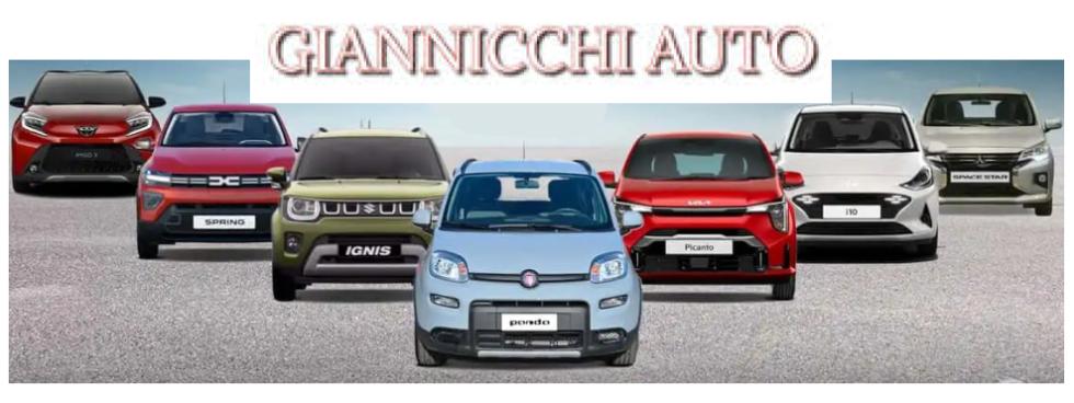 GIANNICCHI AUTO DI GIANNICCHI GIOVANNI