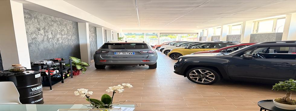 BORRIELLO CARS S.R.L.