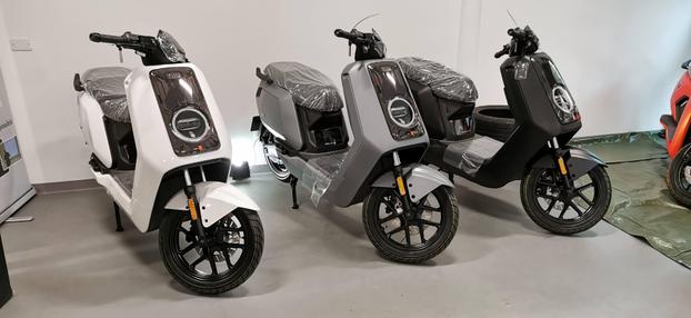 Gruppo EVO - Firenze | Subito