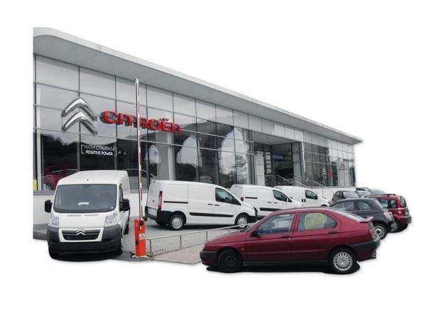 Armando Group - Cuneo | Subito