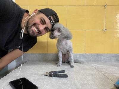 Cucci Zoo - Capurso | Subito