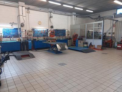 TUTTO GIARDINO - Mondovi' | Subito