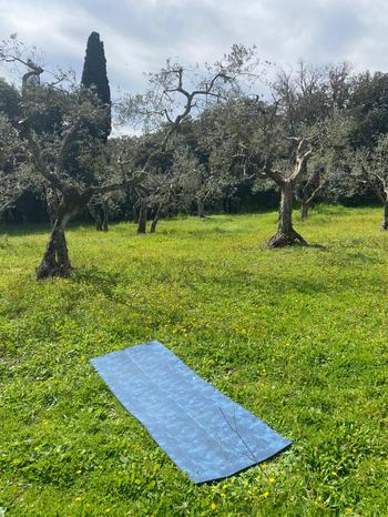 Umbria Immobiliare - Lugnano in Teverina | Subito