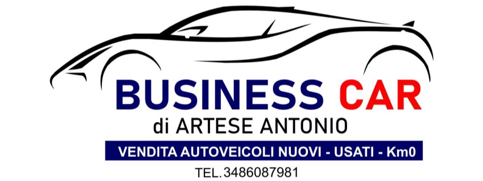BUSINESS CAR