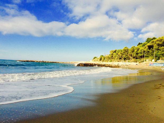 TECNOCASA - Studio San Lorenzo s.a.s - San Lorenzo al Mare | Subito