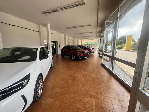 PAZZARELLI AUTO - Macerata | Subito