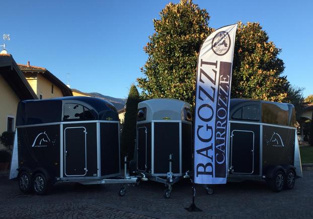 BAGOZZI CARROZZE - Concesio | Subito