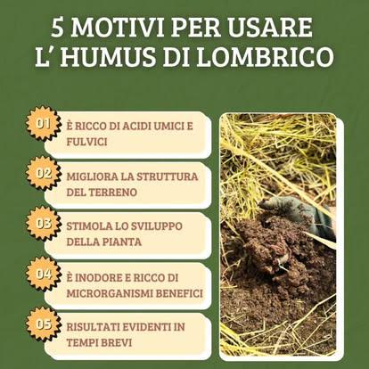 VITA NEL SUOLO - Gaggio Montano | Subito