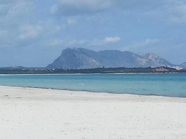 Scv service di Paolo Del Sero | Subito