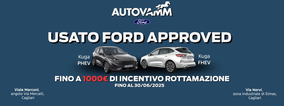 AUTOVAMM STORE USATO