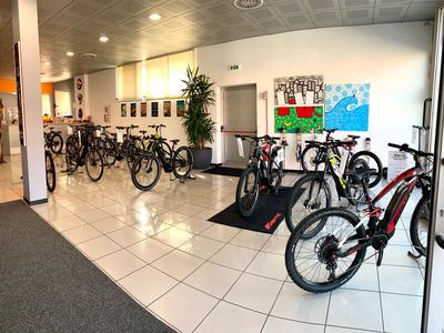 BÈRGHEM E-CYCLES - Urgnano | Subito